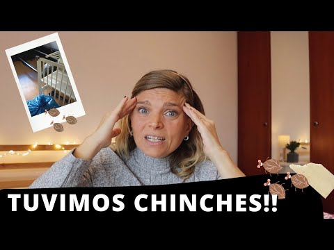 COMO ELIMINAMOS las CHINCHES de CAMA - Nuestra experiencia con este maldito bicho 🪳